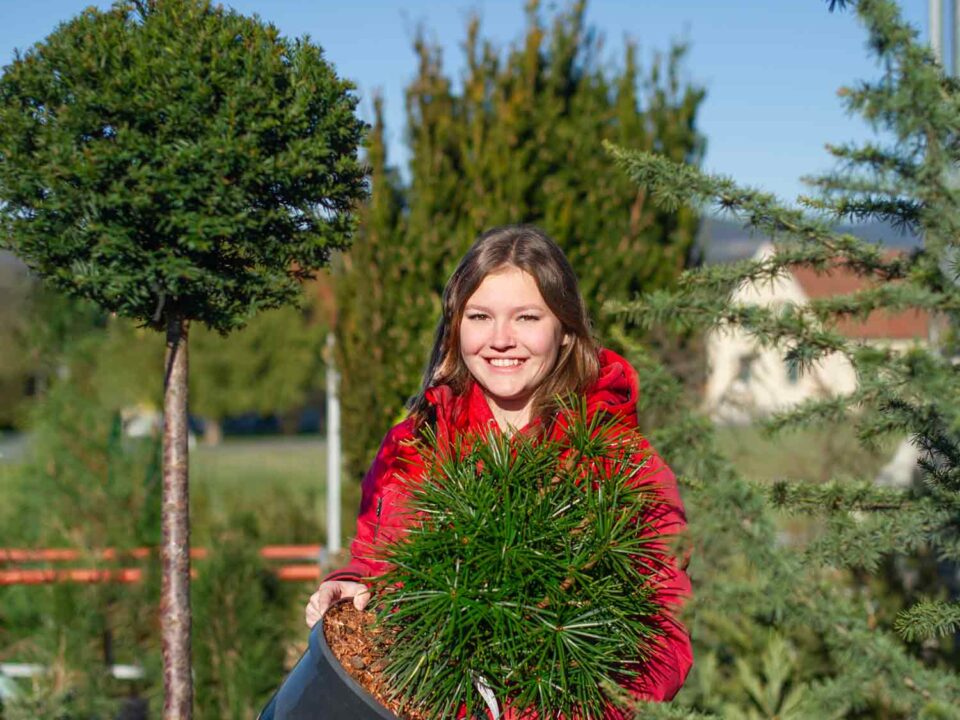 Johanna-Lehrling